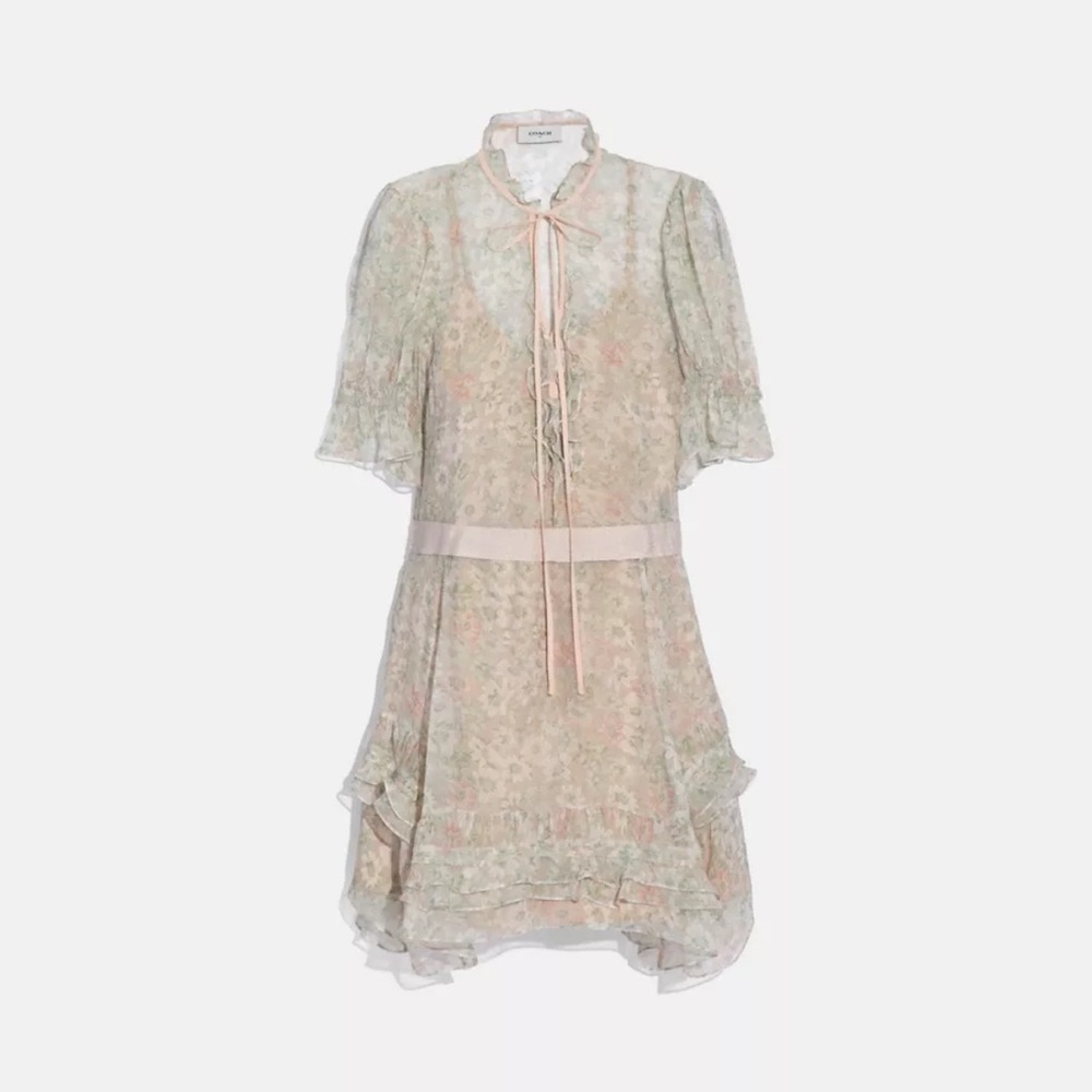 NWT Coach Sheer Floral Tiered Dress with Ruffles 100% Silk Retail $450